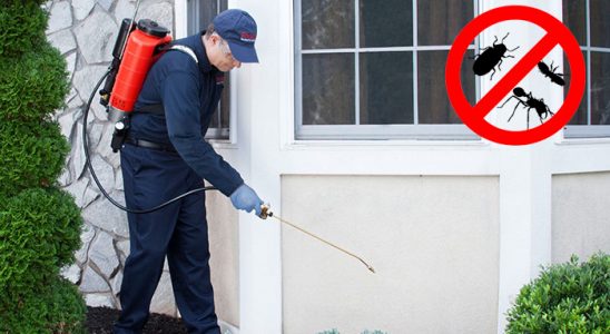 Kelkit Bit İlaçlama böcek ilaçlama ve haşere kontrolü — ilaclama-tr.com